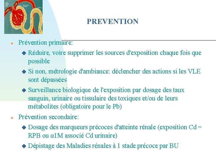 PREVENTION Prévention primaire: Réduire, voire supprimer les sources d'exposition chaque fois que possible Si