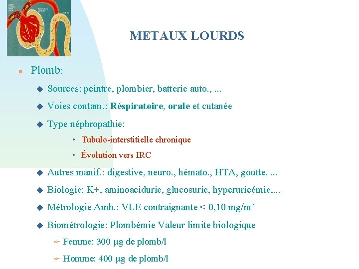 METAUX LOURDS Plomb: Sources: peintre, plombier, batterie auto. , . . . Voies contam.