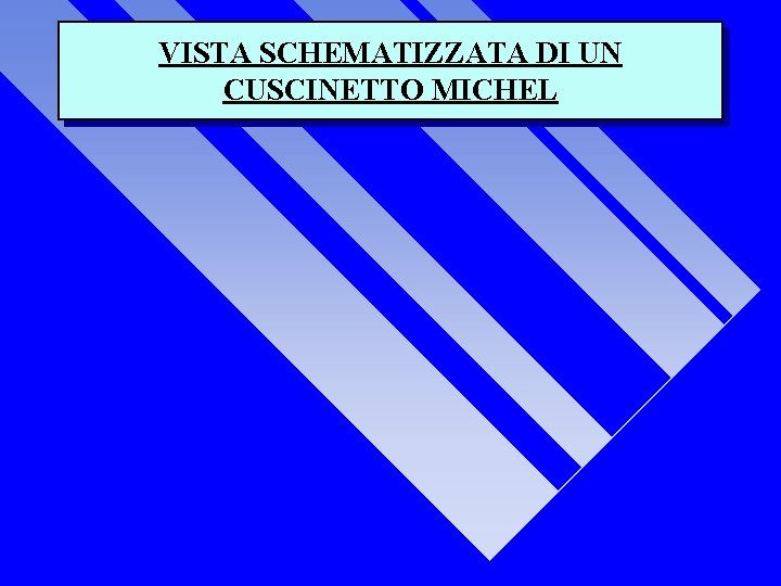 VISTA SCHEMATIZZATA DI UN CUSCINETTO MICHEL 