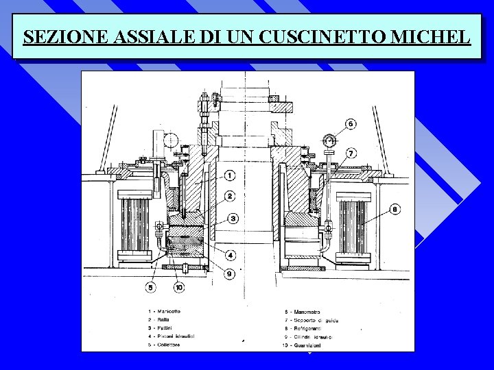 SEZIONE ASSIALE DI UN CUSCINETTO MICHEL 