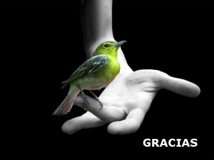 GRACIAS 