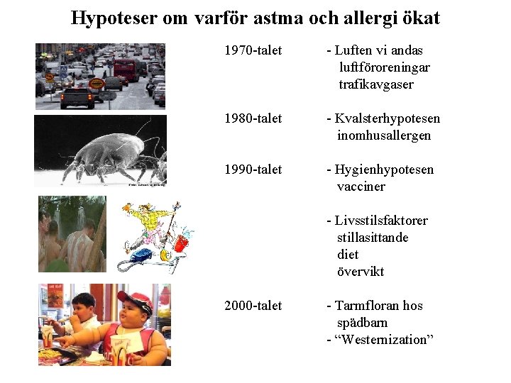 Hypoteser om varför astma och allergi ökat 1970 -talet - Luften vi andas luftföroreningar