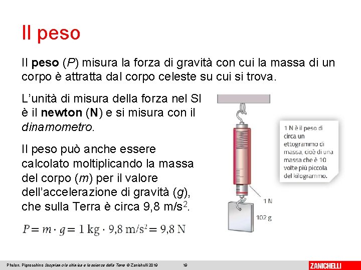 Il peso (P) misura la forza di gravità con cui la massa di un