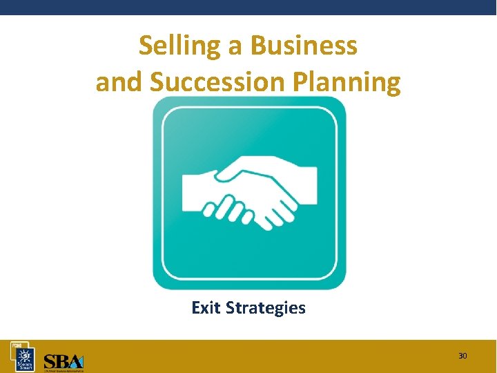 Selling a Business and Succession Planning Exit Strategies 30 