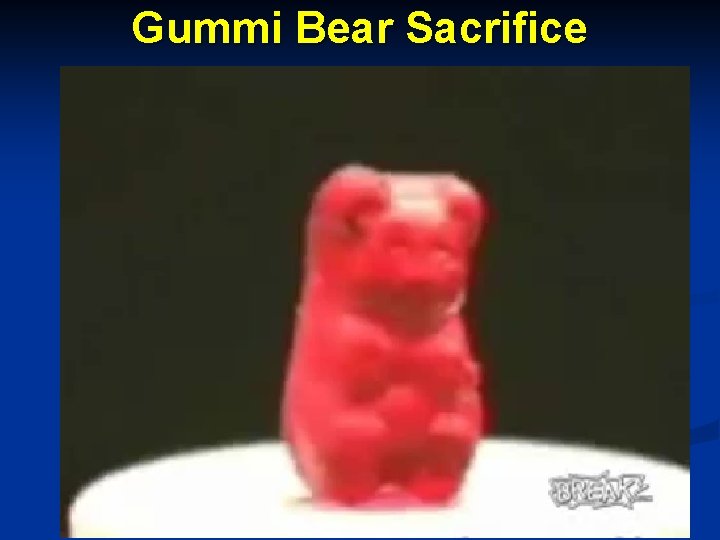 Gummi Bear Sacrifice 16 