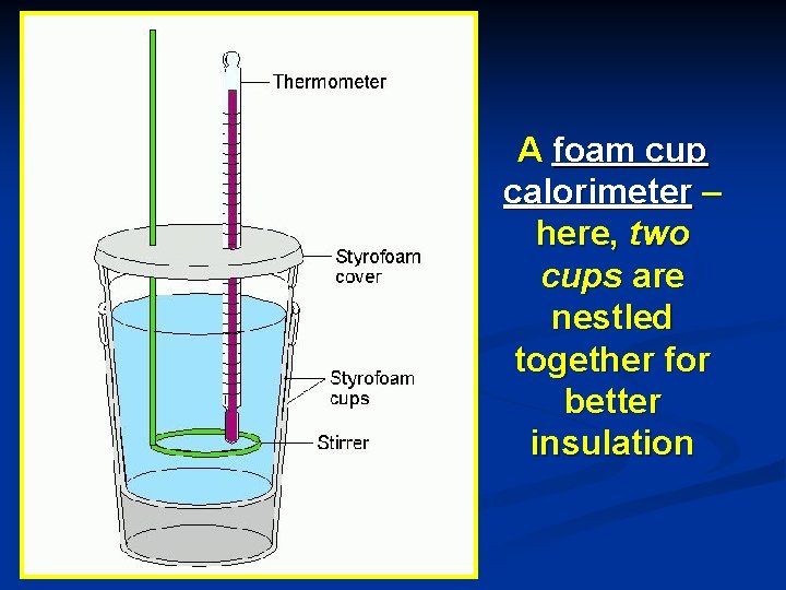 A foam cup calorimeter – here, two cups are nestled together for better insulation