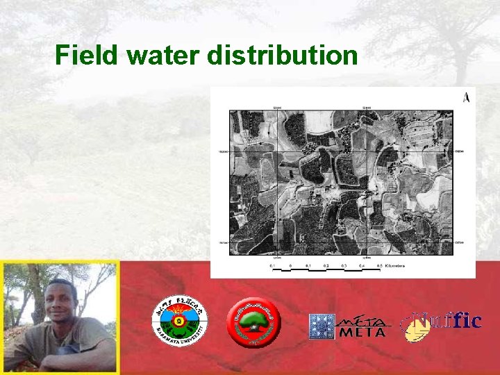 Field water distribution 