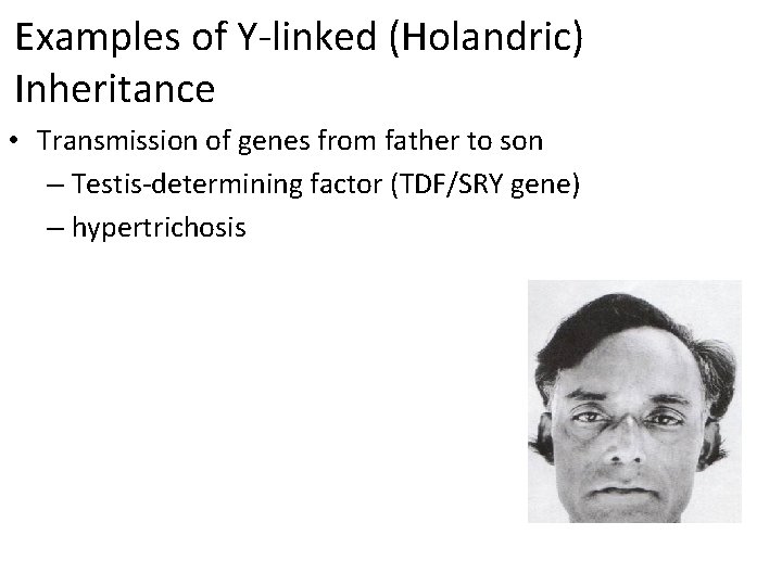 Examples of Y-linked (Holandric) Inheritance • Transmission of genes from father to son –