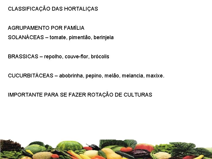 CLASSIFICAÇÃO DAS HORTALIÇAS AGRUPAMENTO POR FAMÍLIA SOLANÁCEAS – tomate, pimentão, berinjela BRASSICAS – repolho,