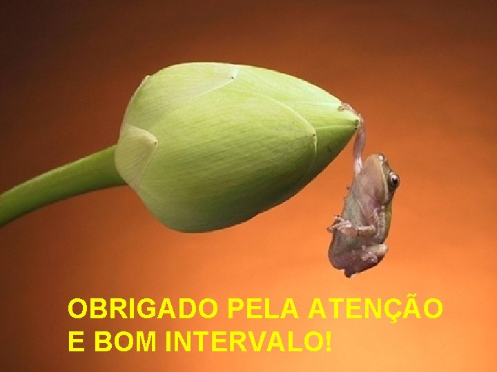 OBRIGADO PELA ATENÇÃO E BOM INTERVALO! 