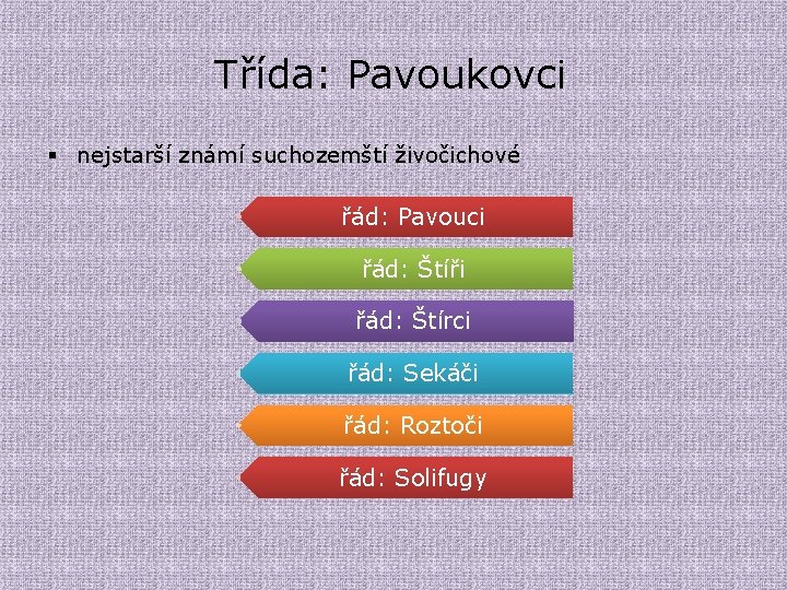 Třída: Pavoukovci § nejstarší známí suchozemští živočichové řád: Pavouci řád: Štíři řád: Štírci řád: