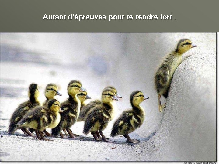 Autant d’épreuves pour te rendre fort. 