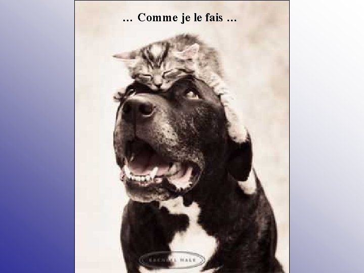 … Comme je le fais … 