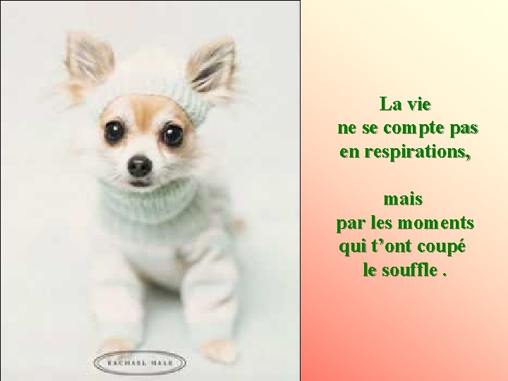 La vie ne se compte pas en respirations, mais par les moments qui t’ont