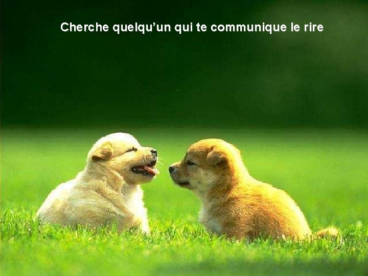 Cherche quelqu’un qui te communique le rire 