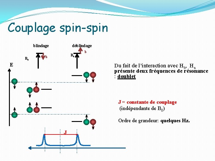 Couplage spin-spin blindage B 0 déblindage B 0 b E b Du fait de