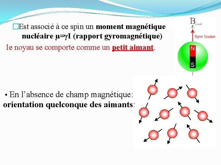 �Est associé à ce spin un moment magnétique nucléaire μ=γI (rapport gyromagnétique) le noyau