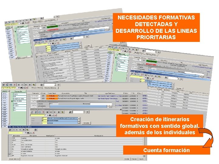 NECESIDADES FORMATIVAS DETECTADAS Y DESARROLLO DE LAS LINEAS PRIORITARIAS Creación de itinerarios formativos con