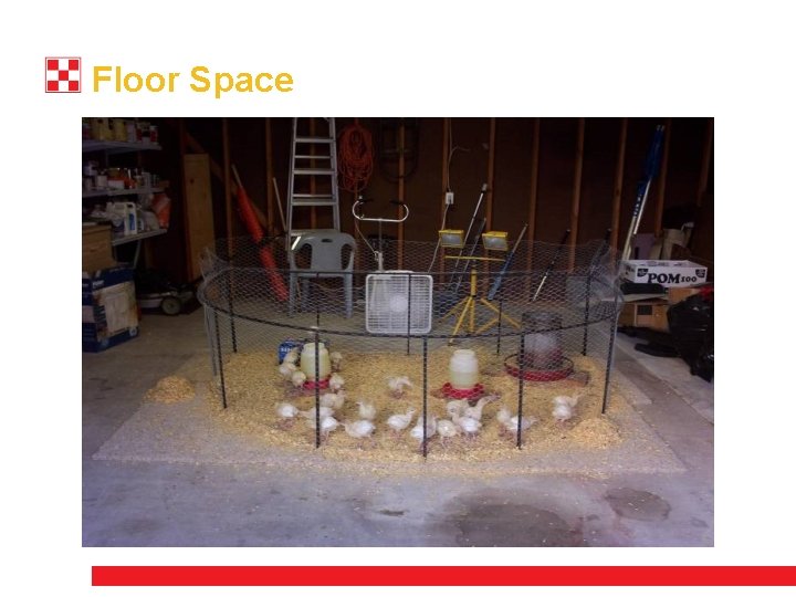 Floor Space 