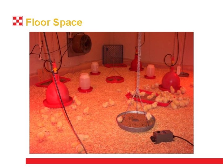 Floor Space 
