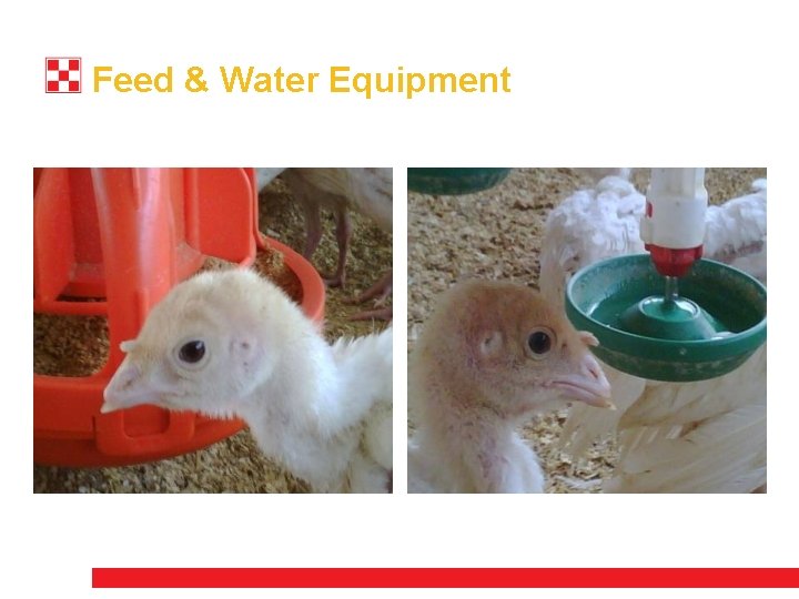 Feed & Water Equipment 