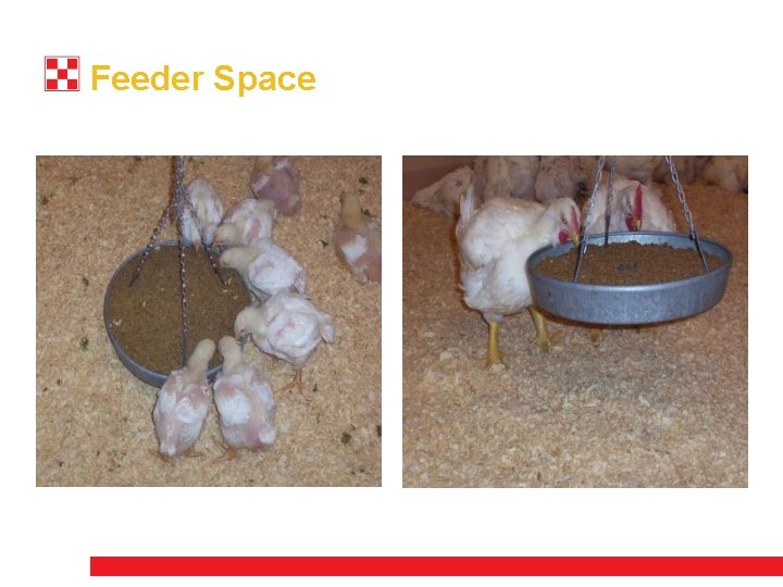 Feeder Space 