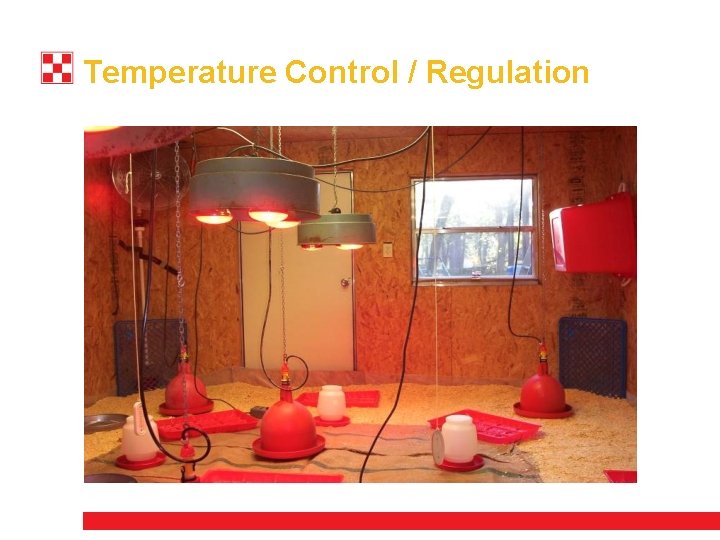 Temperature Control / Regulation 