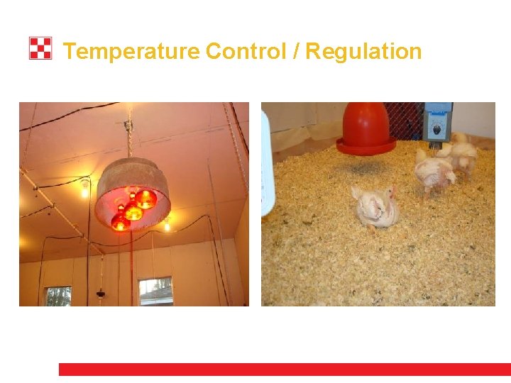 Temperature Control / Regulation 
