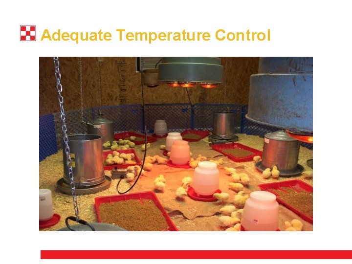 Adequate Temperature Control 