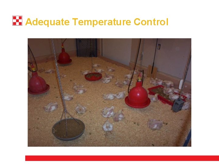 Adequate Temperature Control 