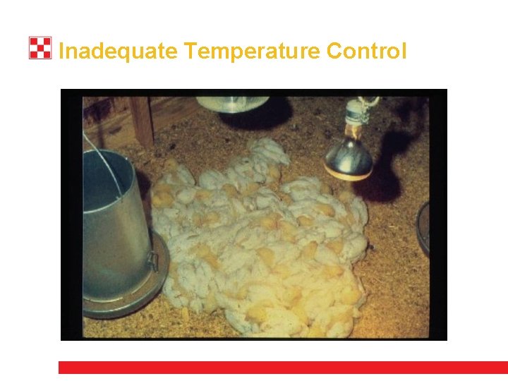 Inadequate Temperature Control 