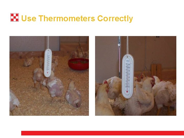 Use Thermometers Correctly 
