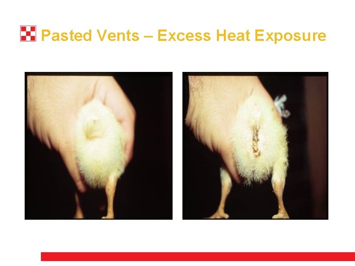 Pasted Vents – Excess Heat Exposure 