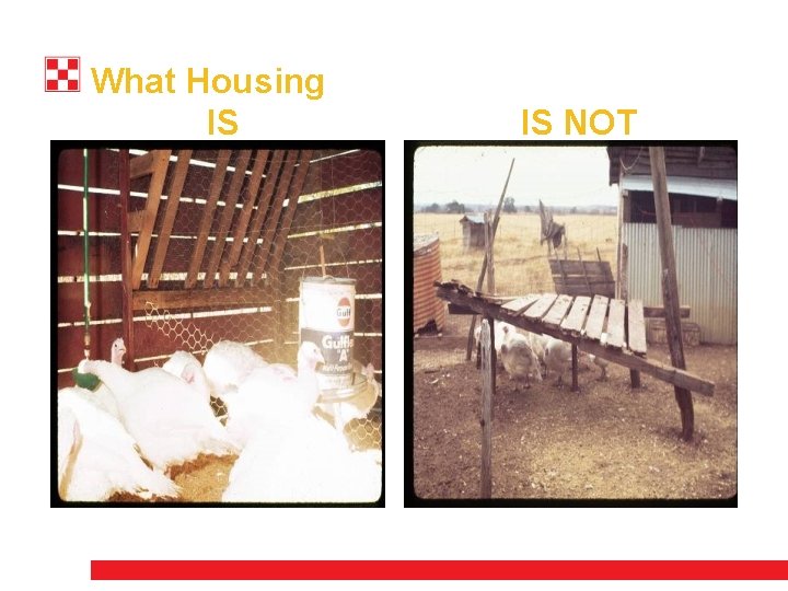 What Housing IS IS NOT 