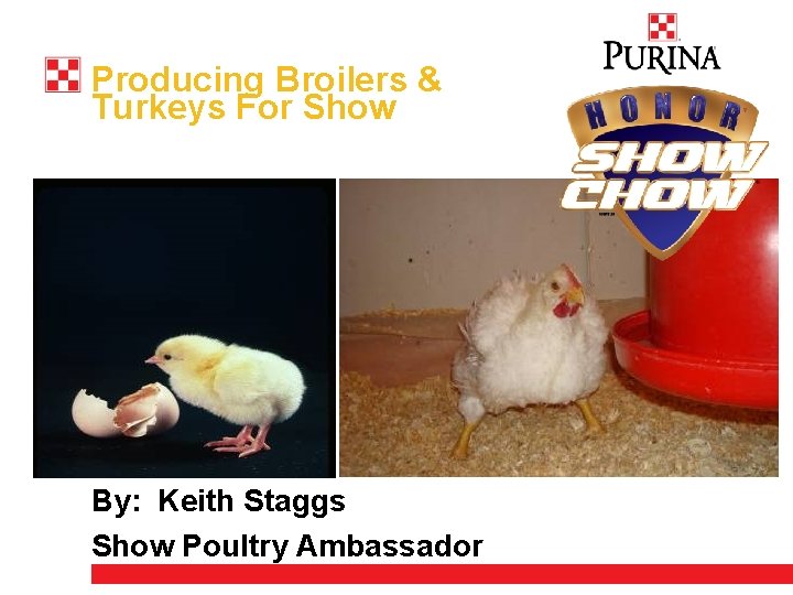 Producing Broilers & Turkeys For Show By: Keith Staggs Show Poultry Ambassador 