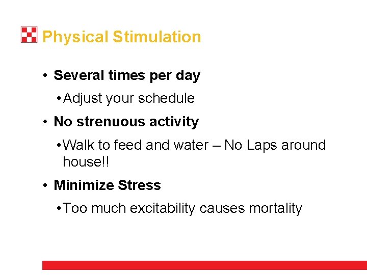 Physical Stimulation • Several times per day • Adjust your schedule • No strenuous