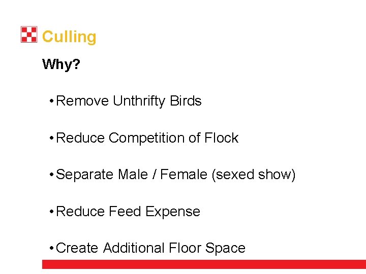 Culling Why? • Remove Unthrifty Birds • Reduce Competition of Flock • Separate Male