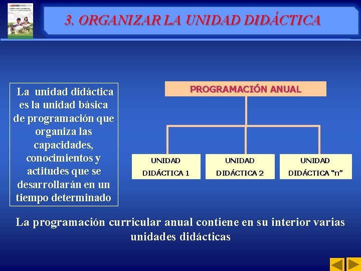 3. ORGANIZAR LA UNIDAD DIDÁCTICA La unidad didáctica es la unidad básica de programación