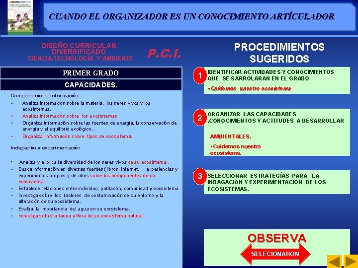 CUANDO EL ORGANIZADOR ES UN CONOCIMIENTO ARTÍCULADOR DISEÑO CURRICULAR DIVERSIFICADO CIENCIA, TECNOLOGÍA Y AMBIENTE