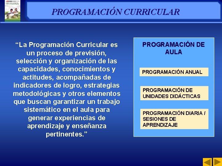 PROGRAMACIÓN CURRICULAR “La Programación Curricular es un proceso de previsión, selección y organización de