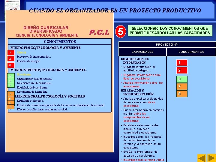 CUANDO EL ORGANIZADOR ES UN PROYECTO PRODUCTIVO DISEÑO CURRICULAR DIVERSIFICADO CIENCIA, TECNOLOGÍA Y AMBIENTE