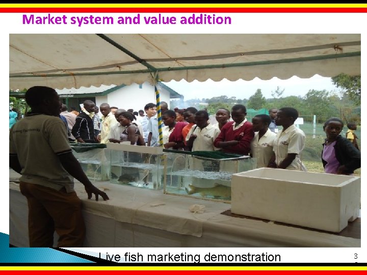 Market system and value addition Live fish marketing demonstration 11/2/2020 3 8 