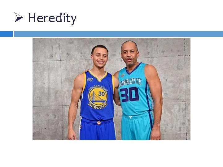Ø Heredity 