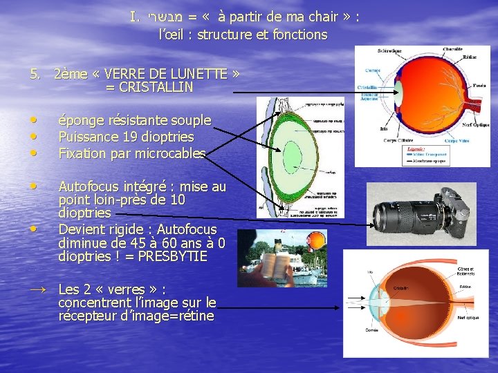  I. מבשרי = « à partir de ma chair » : l’œil :