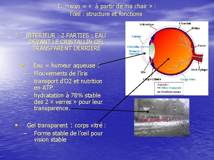  I. מבשרי = « à partir de ma chair » : l’œil :