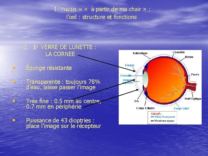  I. מבשרי = « à partir de ma chair » : l’œil :