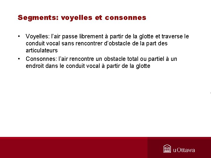 Segments: voyelles et consonnes • Voyelles: l’air passe librement à partir de la glotte