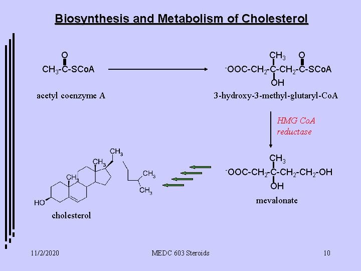 Biosynthesis and Metabolism of Cholesterol O CH 3 -C-SCo. A -OOC-CH O 2 -C-CH