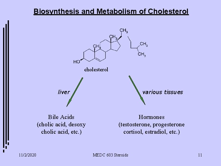 Biosynthesis and Metabolism of Cholesterol cholesterol liver Bile Acids (cholic acid, desoxy cholic acid,