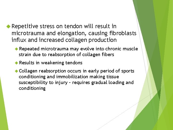  Repetitive stress on tendon will result in microtrauma and elongation, causing fibroblasts influx